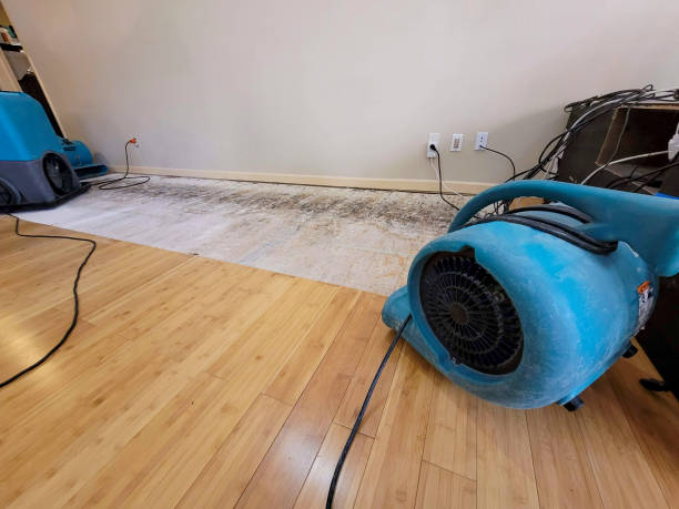 Professional Water Removal technician working in Mission Viejo, CA